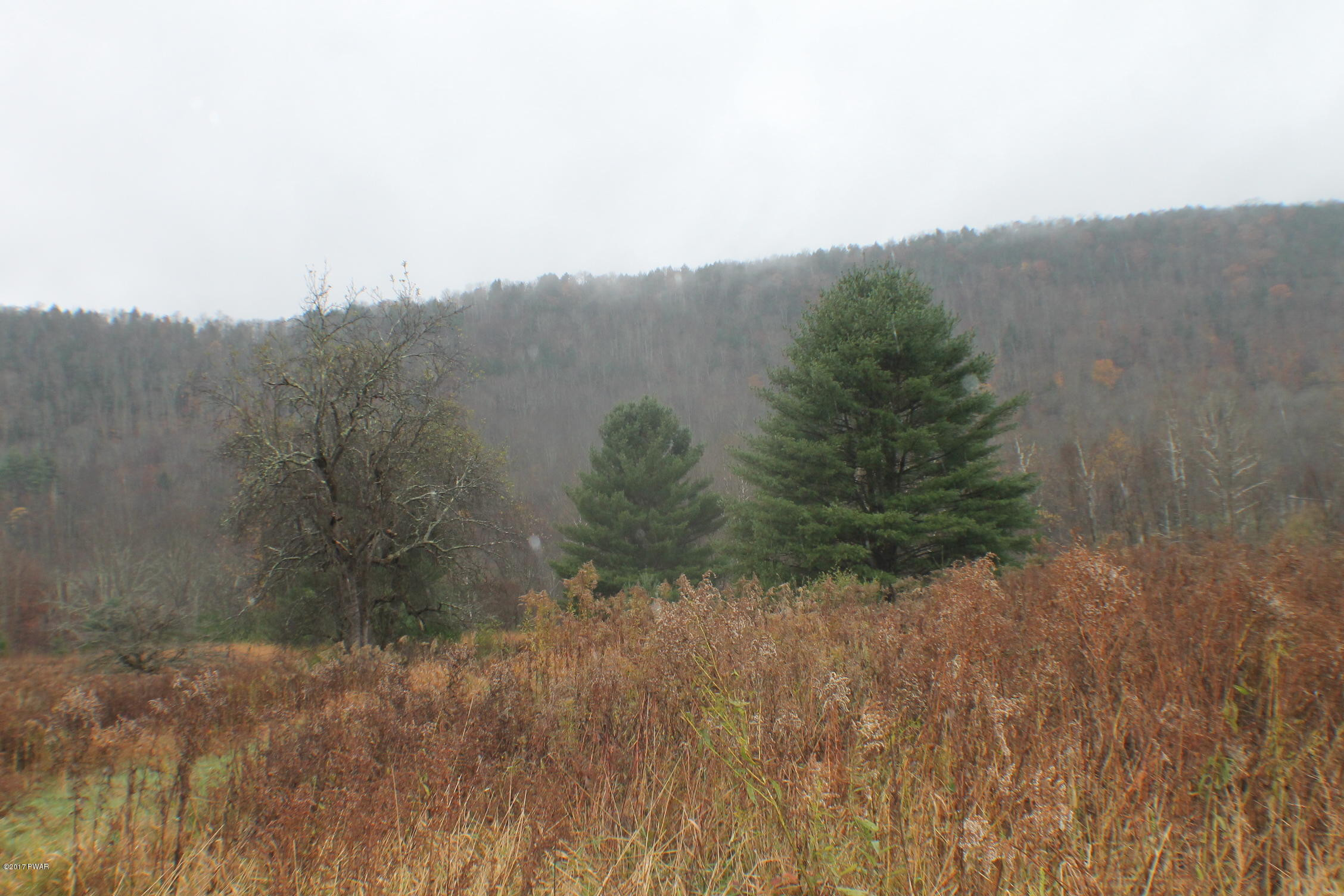 Rd Road East Branch, NY 13756 - Photo 3 of 12