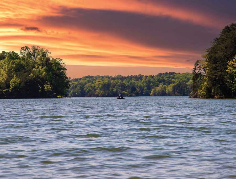 724 Beautyberry Way Seneca, SC 29678 - Photo 16 of 25