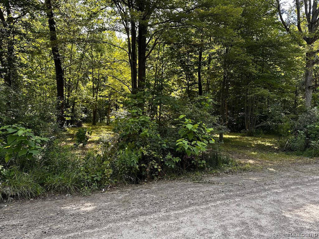 00000 Haggerty Road Belleville, MI 48111 - Photo 3 of 7