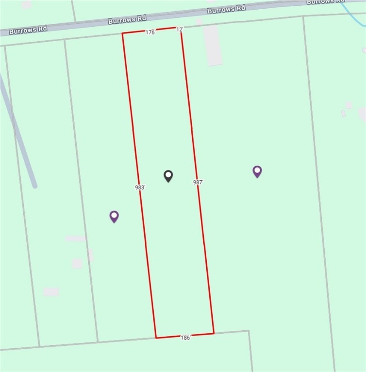 Burrows Road Unadilla, NY 13849 - Photo 3 of 4