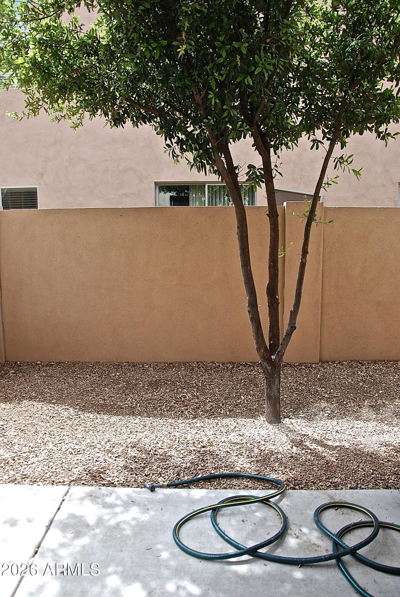 2611 North 48th Street, Unit 4 Phoenix, AZ 85008 - Photo 23 of 23 a room with a wooden floor and a potted plant