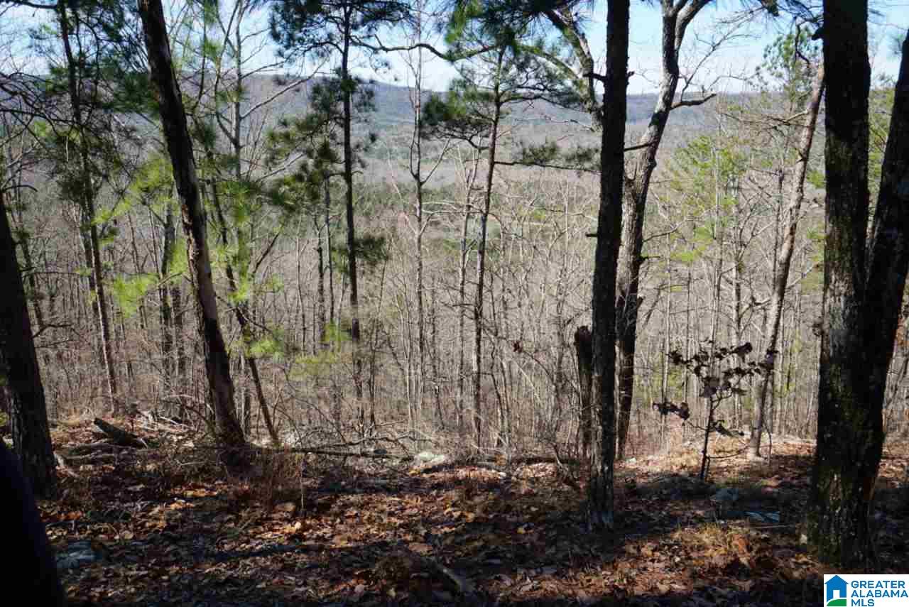 Mystic Valley View, Unit 1 Sterrett, AL 35147 - Photo 29 of 33