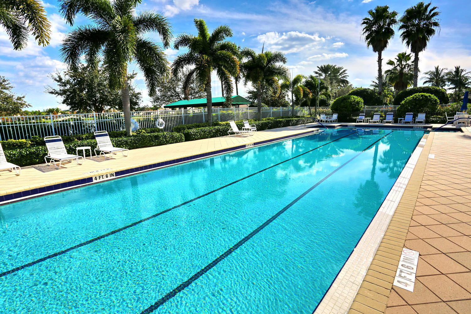 8385 Yorke Road Wellington, FL 33414 - Photo 28 of 44 Lap Pool