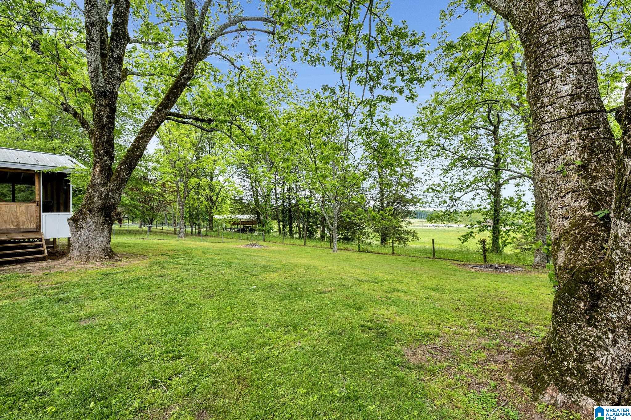 3980 Eva Road Eva, AL 35621 - Photo 9 of 39
