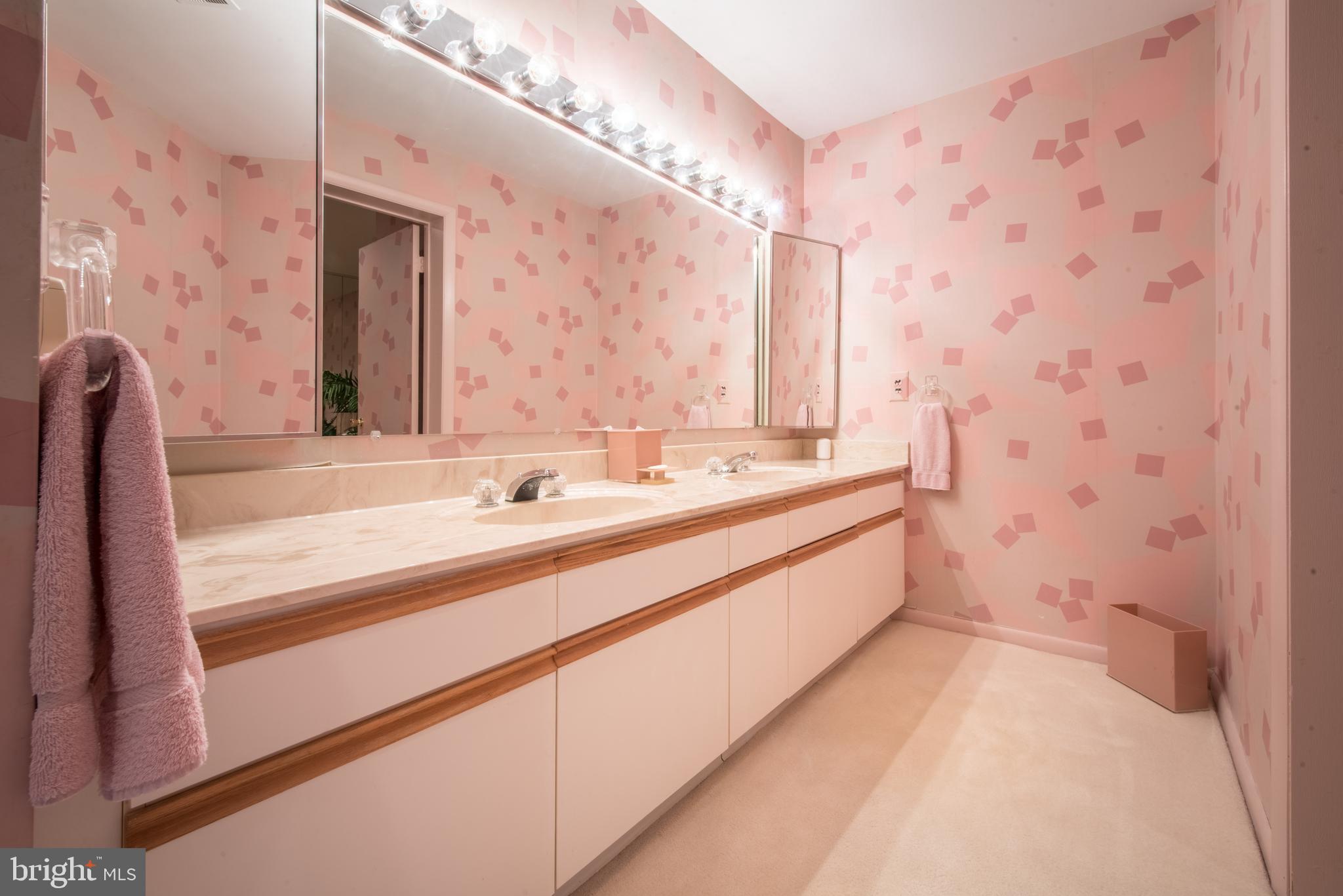 3021 Fallstaff Road, Unit 501B Baltimore, MD 21209 - Photo 22 of 28 Spacious Master Bath