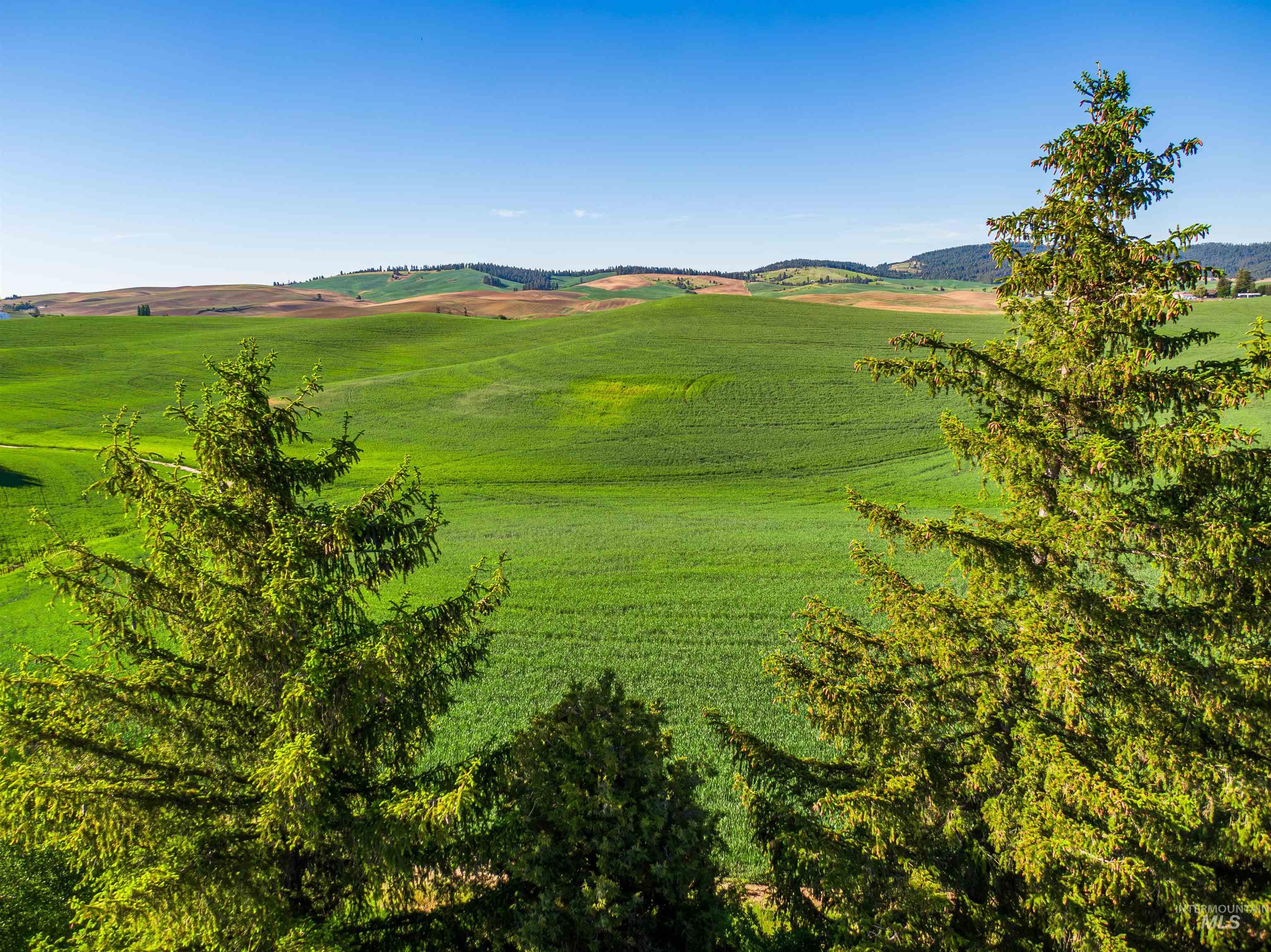 Tbd/000 Mix Road Moscow, ID 83843 - Photo 12 of 31 View of yard featuring a rural view