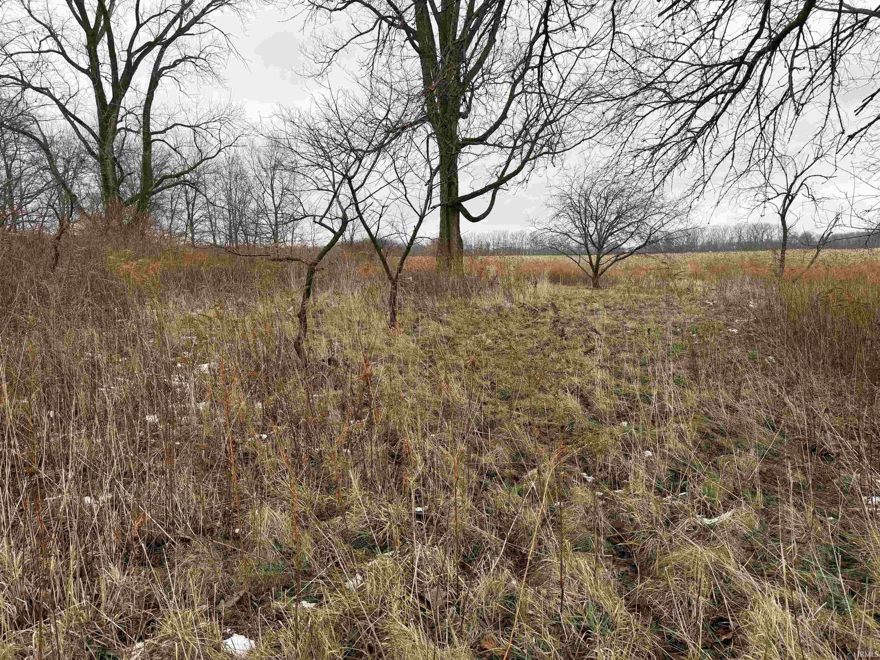 11899 South Hartford City Road Warren, IN 46792 - Photo 4 of 20