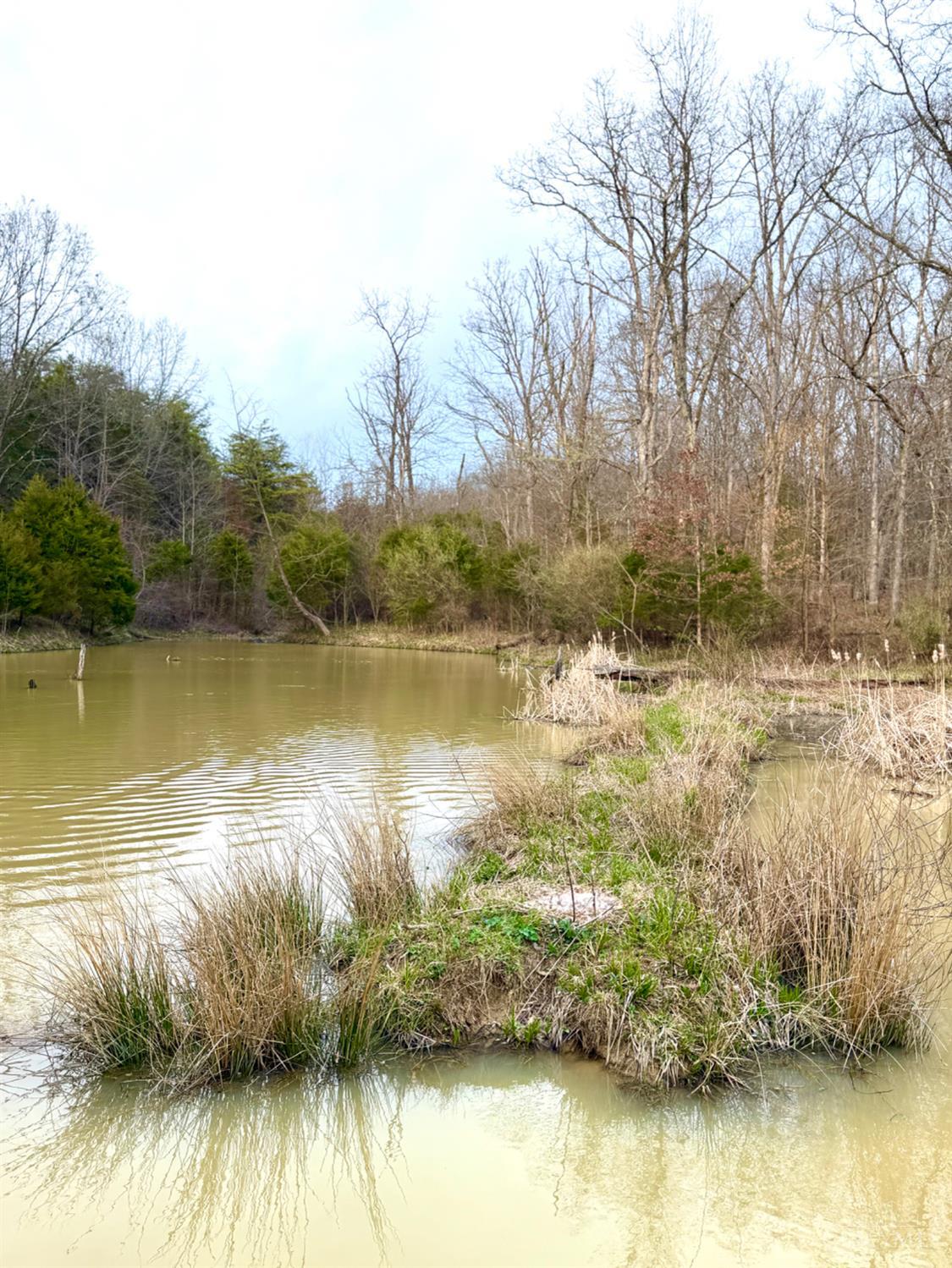 1600 Magee Jones Road Peebles, OH 45660 - Photo 87 of 91