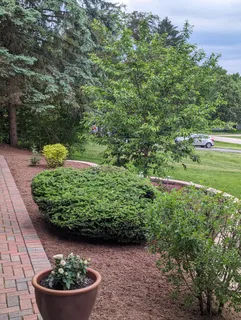 915 Willow Lane, Sleepy Hollow, IL 60118