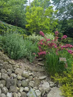 915 Willow Lane, Sleepy Hollow, IL 60118