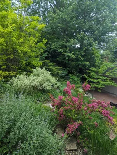 915 Willow Lane, Sleepy Hollow, IL 60118