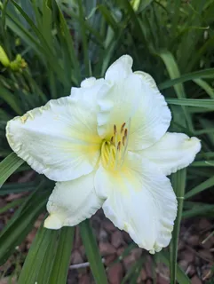 915 Willow Lane, Sleepy Hollow, IL 60118