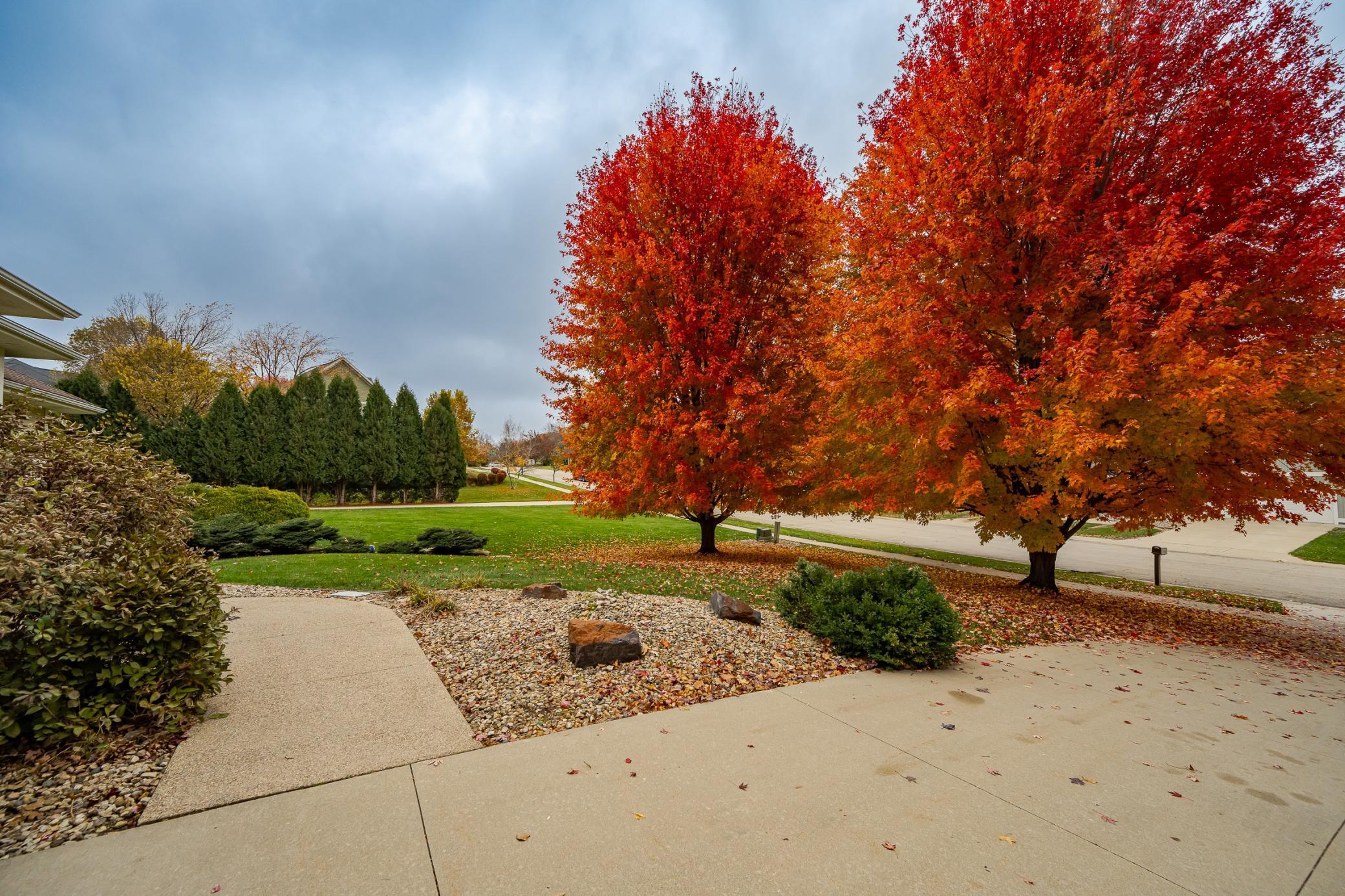 2234 Baihly Hills Drive Southwest Rochester, MN 55902 - Photo 39 of 42