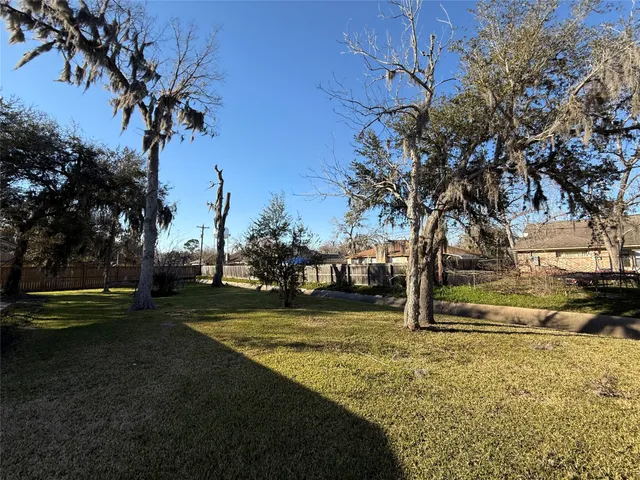 a view of a yard with trees