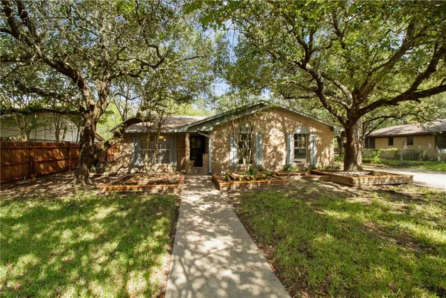 a view of a yard with plants and large trees
