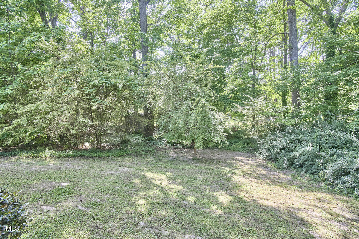 5319 Memory Lane Durham, NC 27712 - Photo 27 of 29 a view of a green field with lots of bushes