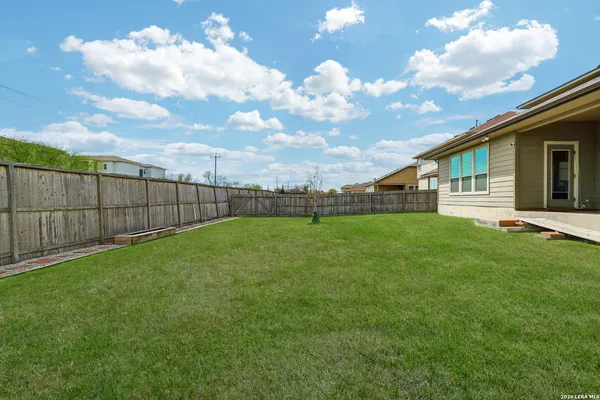 a view of a backyard with grass and a large tree