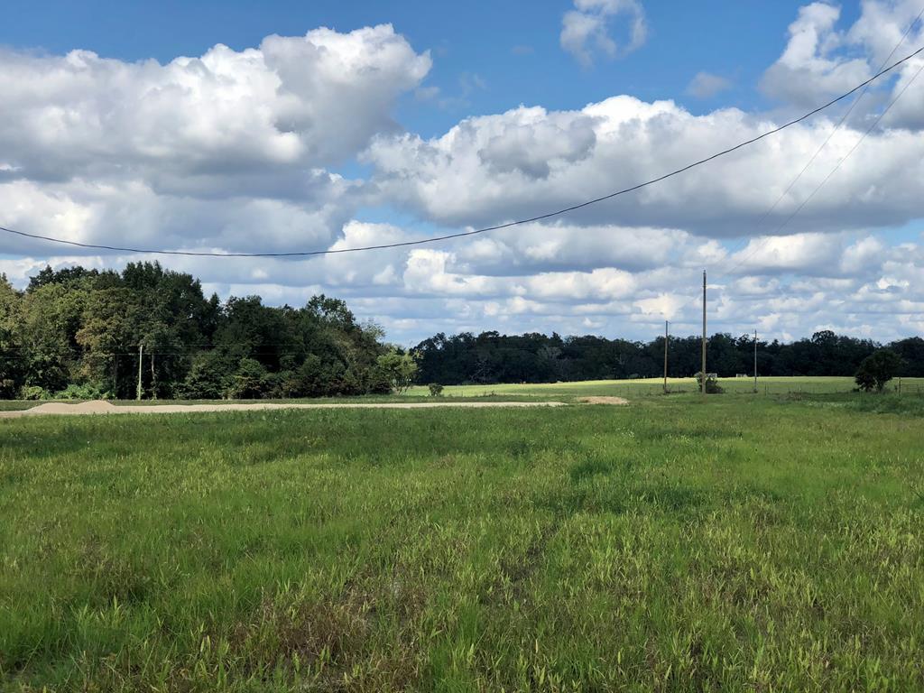 1960 Cedar Springs Road Ashford, AL 36312 - Photo 5 of 24