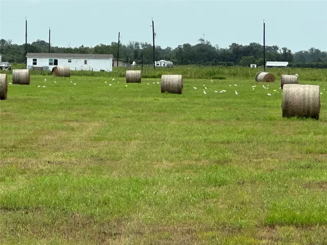 a view of a garden with sitting area