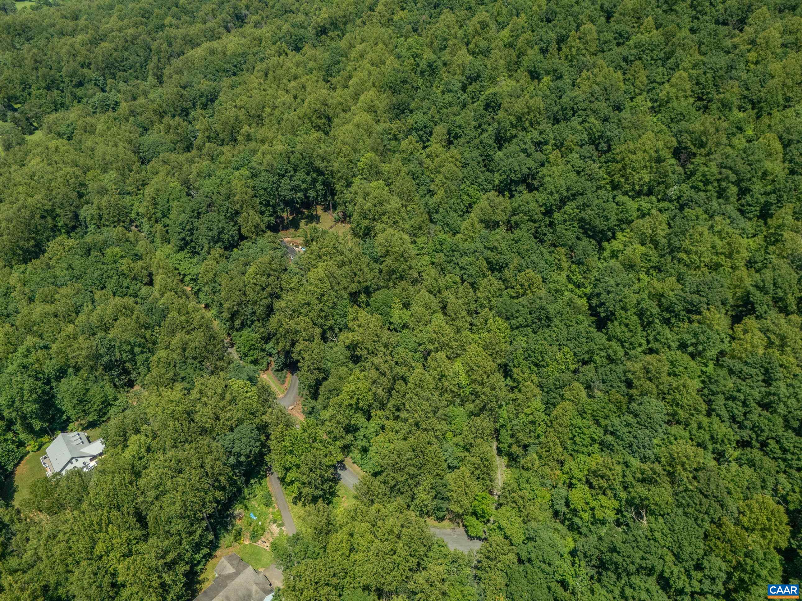 450 David Road Charlottesville, VA 22902 - Photo 70 of 71