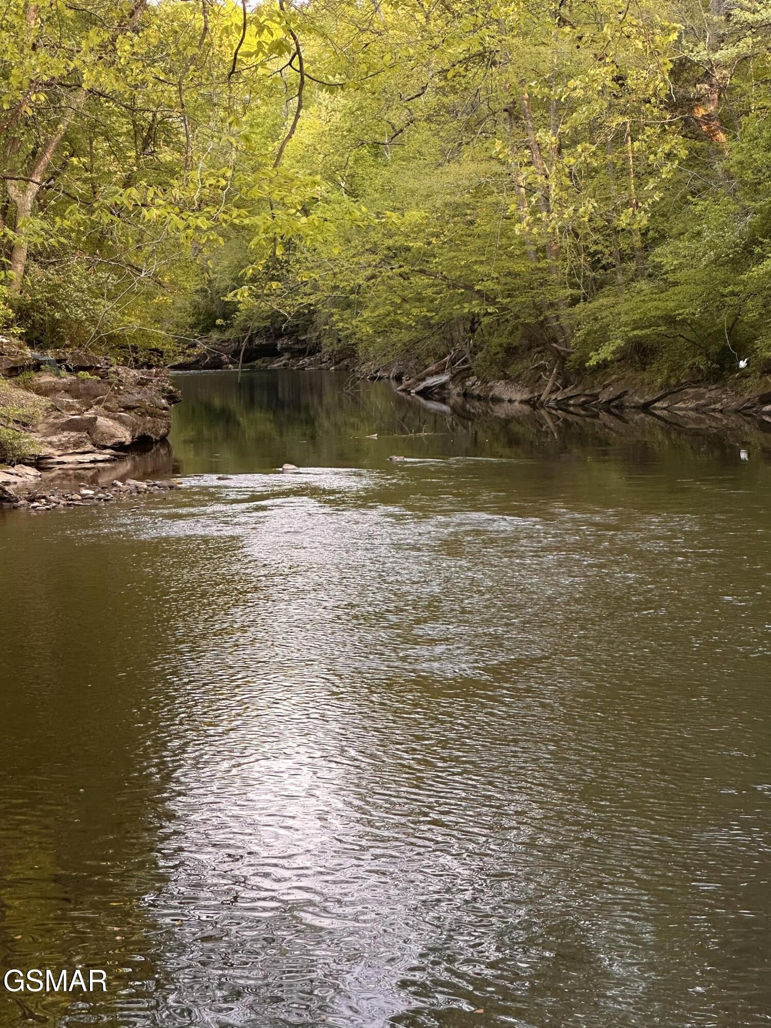 1956 Pittman Center Road Sevierville, TN 37876 - Photo 44 of 51