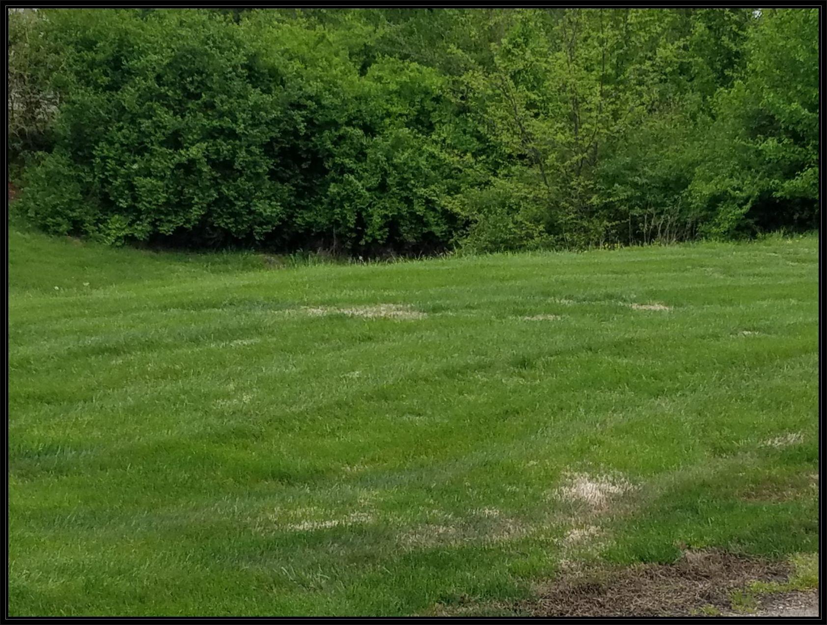 Lot 97 East Cypress Point Springfield, MO 65802 - Photo 7 of 7 3