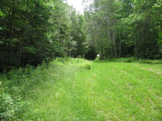 Lot 7 Old County Road Rockland, ME 04841 - Photo 22 of 35 Land/Lot. Lots of privacy, woods,...