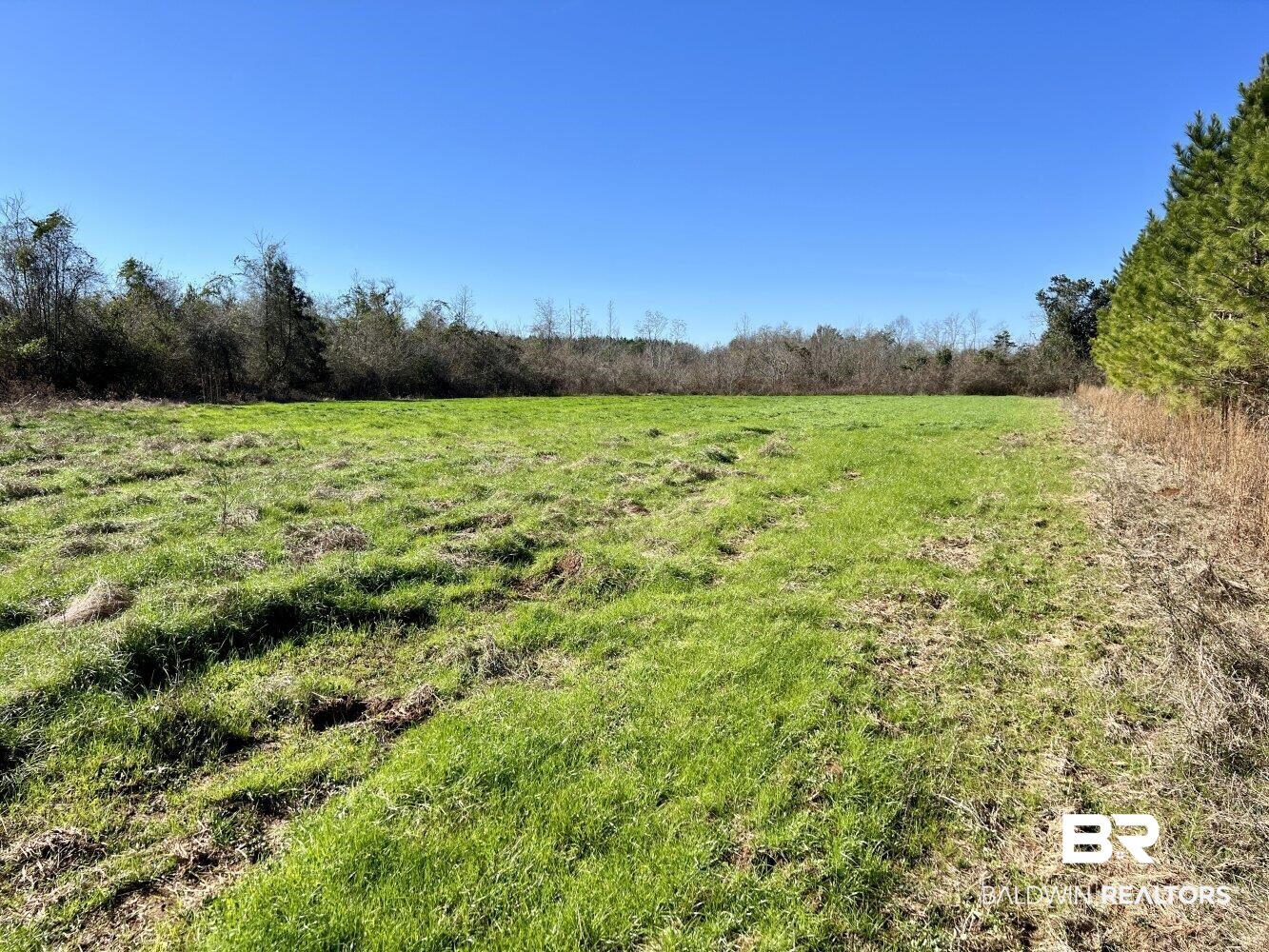 0 Highway 84 Evergreen, AL 36401 - Photo 46 of 50