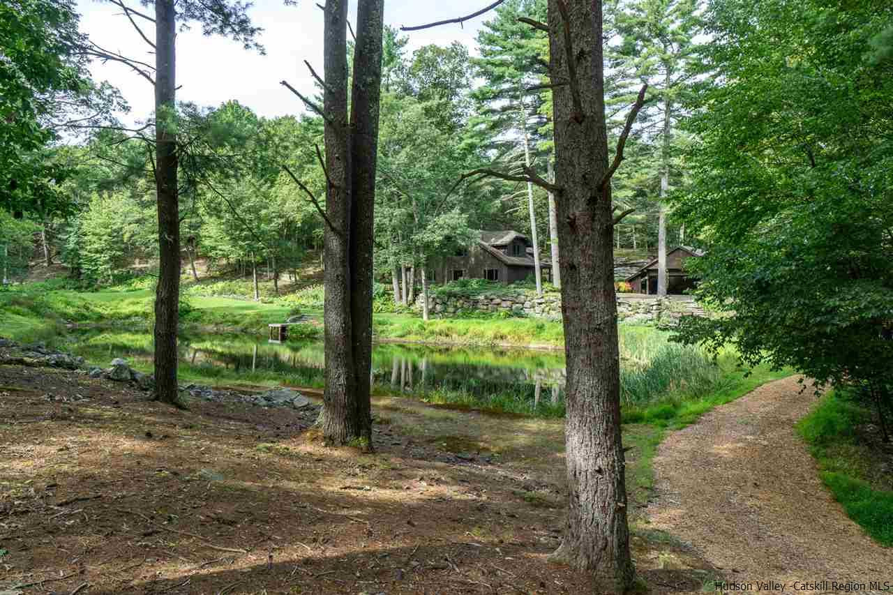 45 Pratt Road Stone Ridge, NY 12484 - Photo 15 of 35 a view of a forest with a tree