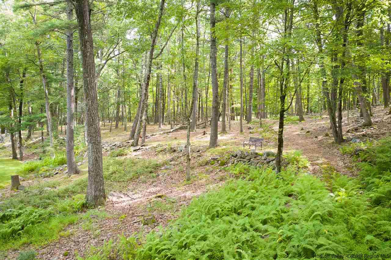 45 Pratt Road Stone Ridge, NY 12484 - Photo 16 of 35 a view of outdoor space with deck and trees