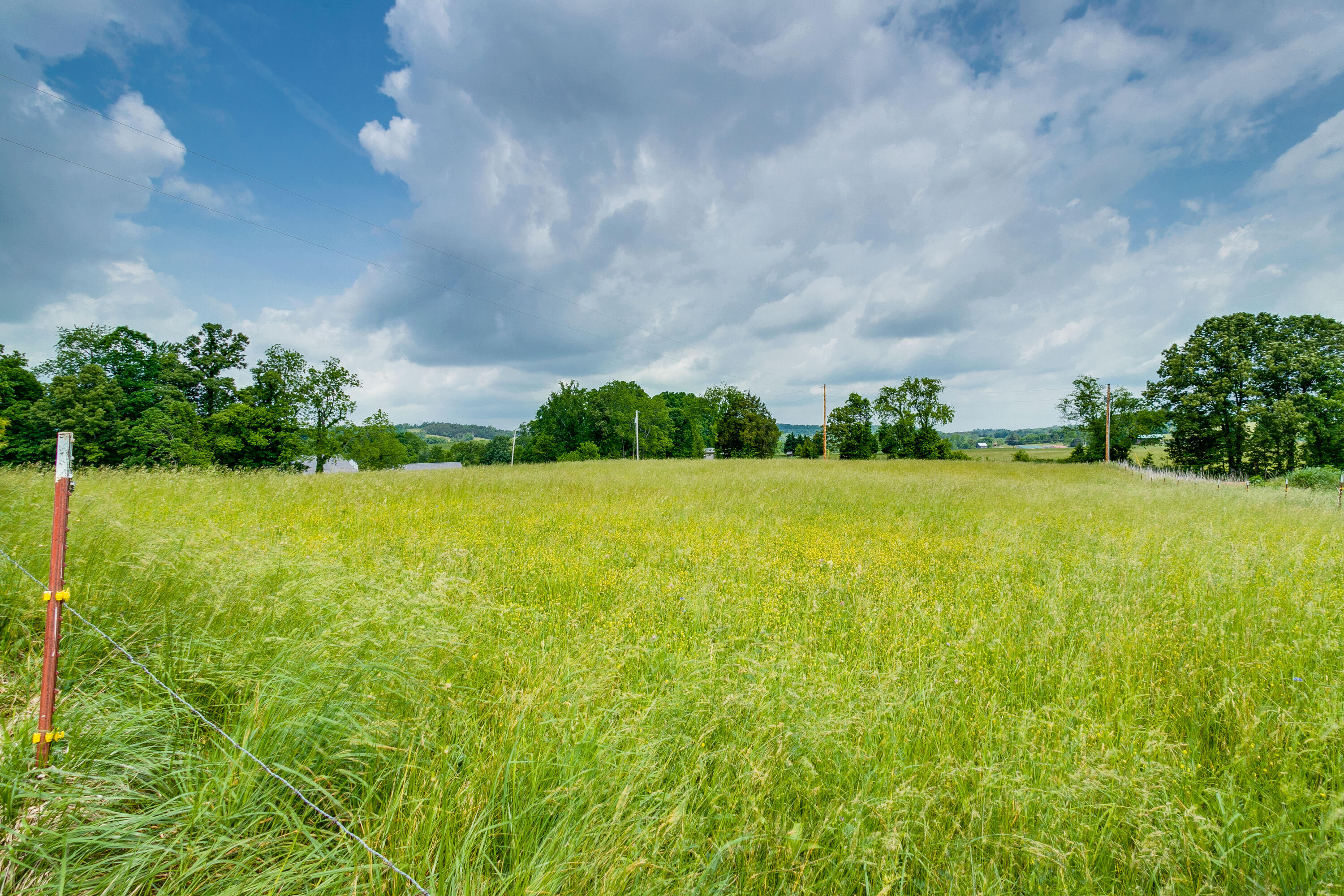 Tbd Ricker Road, Unit 35 Greeneville, TN 37743 - Photo 3 of 16 002_small
