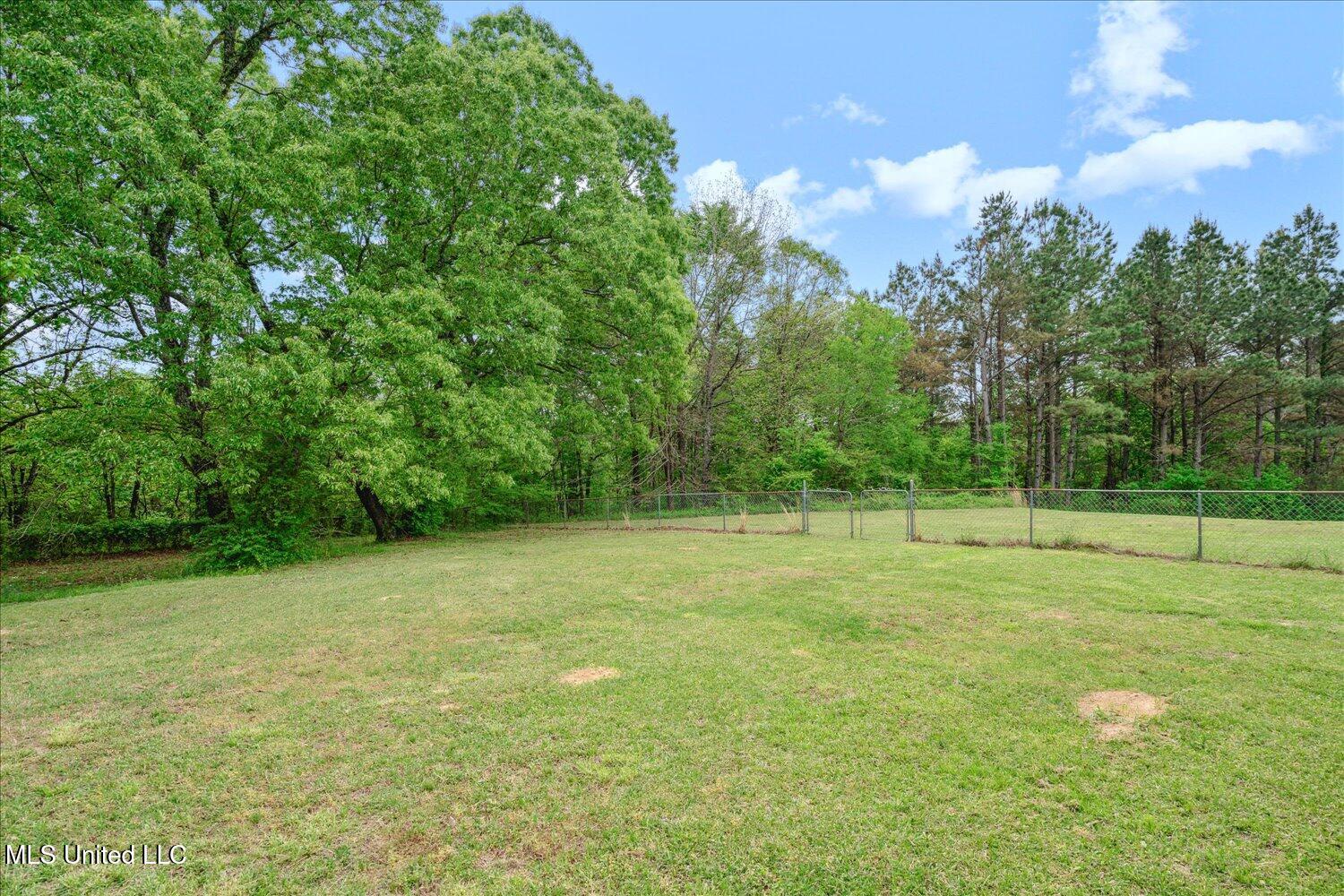 3574 Hebron Church Road Lamar, MS 38642 - Photo 30 of 31 32-32-2124502sm-3574 Hebron Church Rd