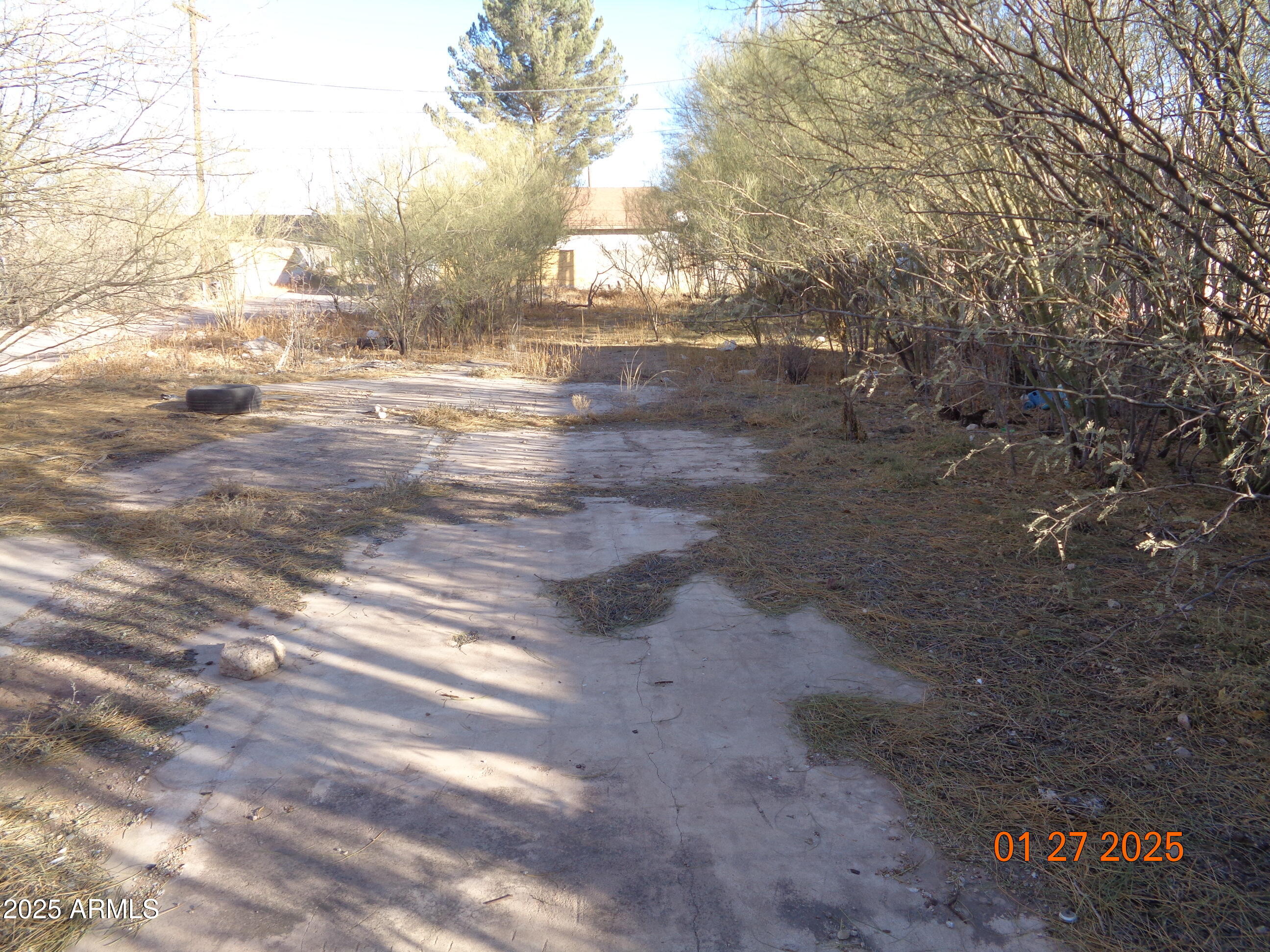 626 East 7th Street, Unit 9 Douglas, AZ 85607 - Photo 4 of 7 DSC04712
