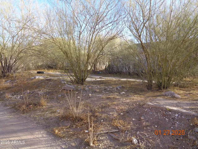 $30,000 | 626 East 7th Street, Unit 9, Douglas, AZ 85607