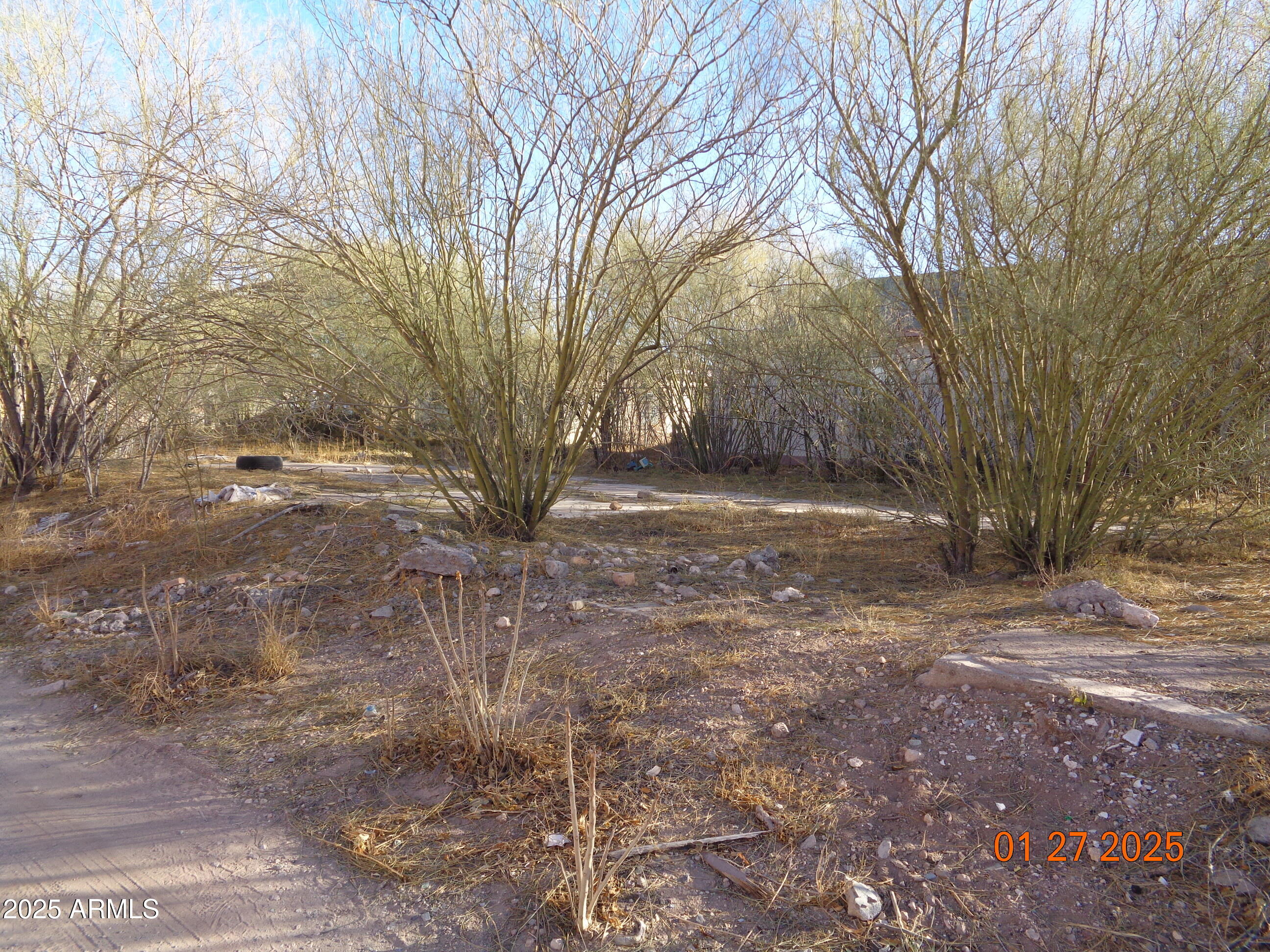 626 East 7th Street, Unit 9 Douglas, AZ 85607 - Photo 6 of 7 DSC04716