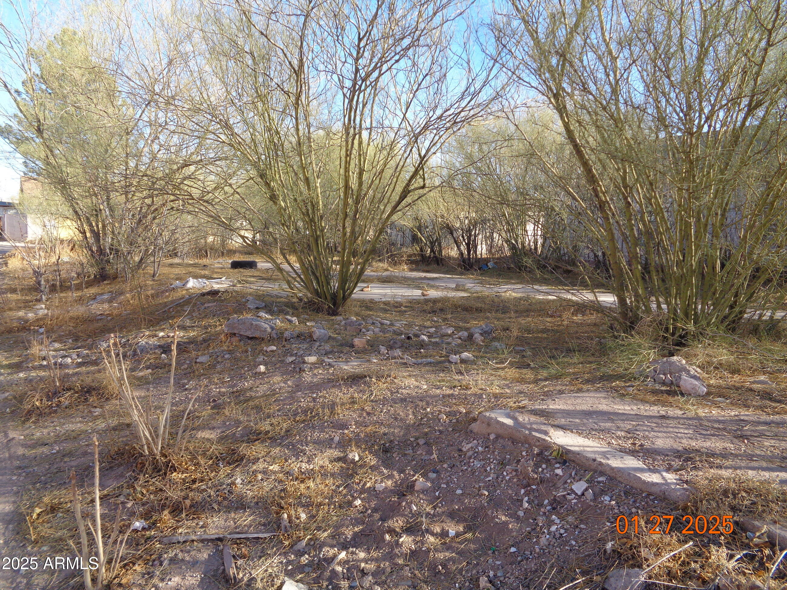 626 East 7th Street, Unit 9 Douglas, AZ 85607 - Photo 7 of 7 DSC04718