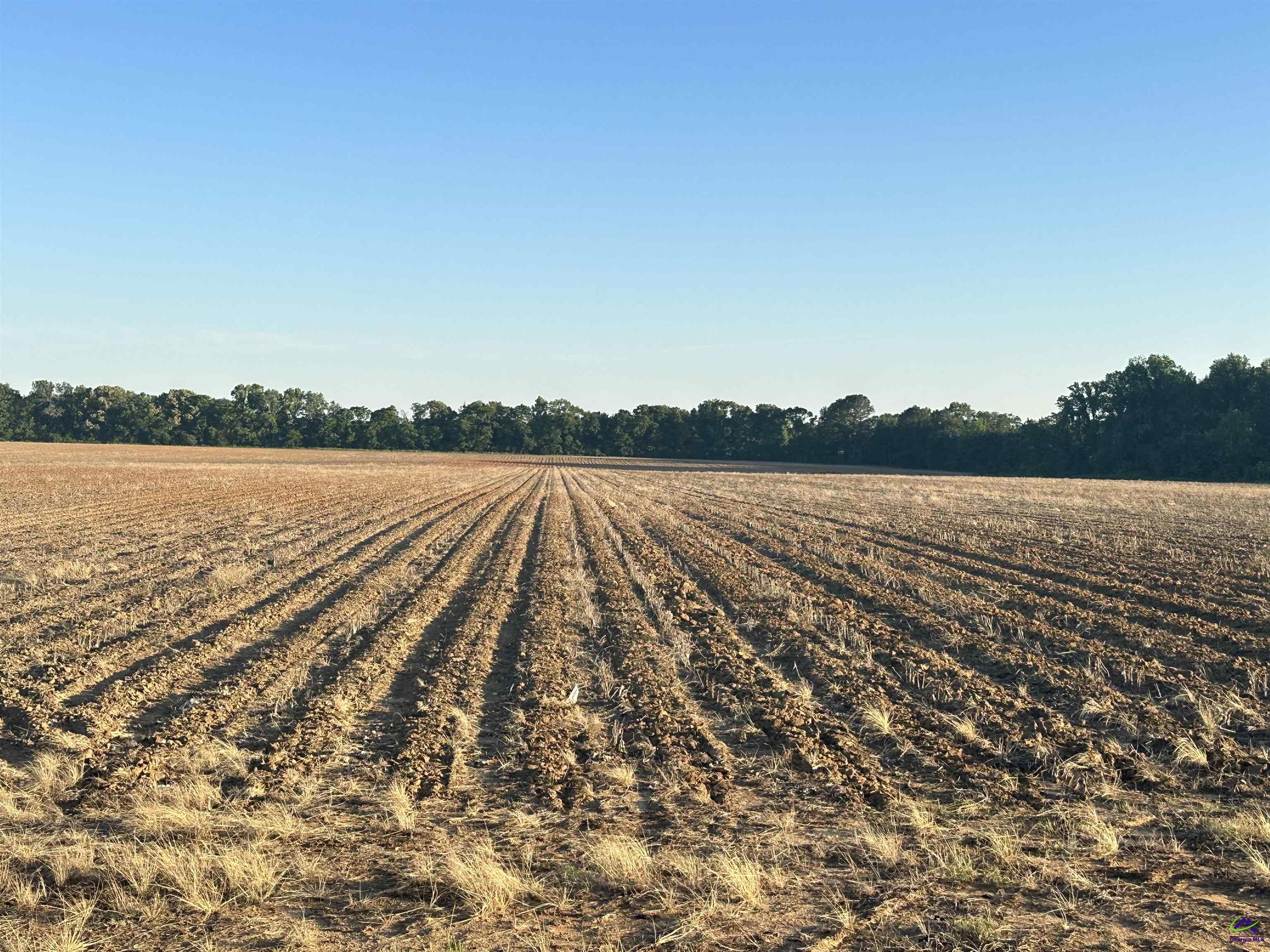 Lot#4 Southwest 6.17 Acres) Sewell Road Elko, GA 31025 - Photo 1 of 3