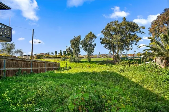 a view of a park with large trees