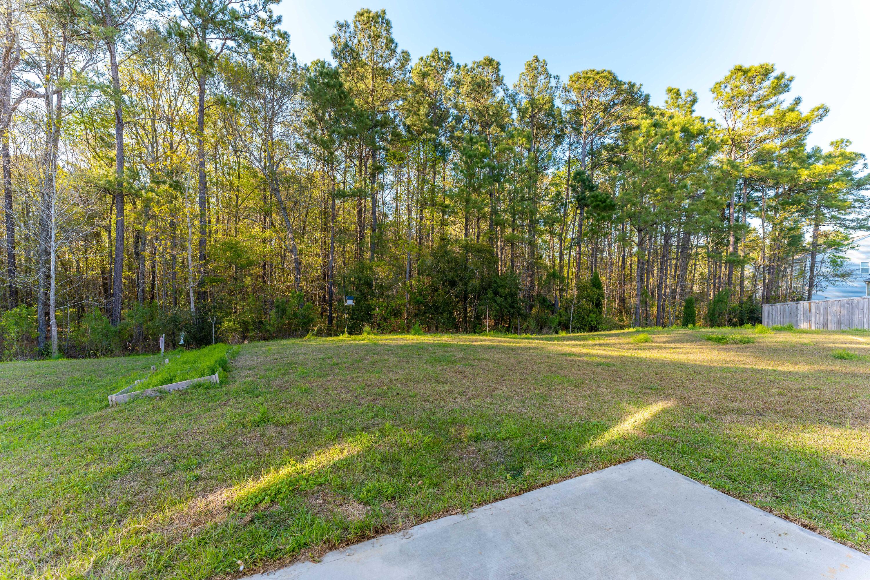 116 Rockingham Way Moncks Corner, SC 29461 - Photo 21 of 21 Backyard