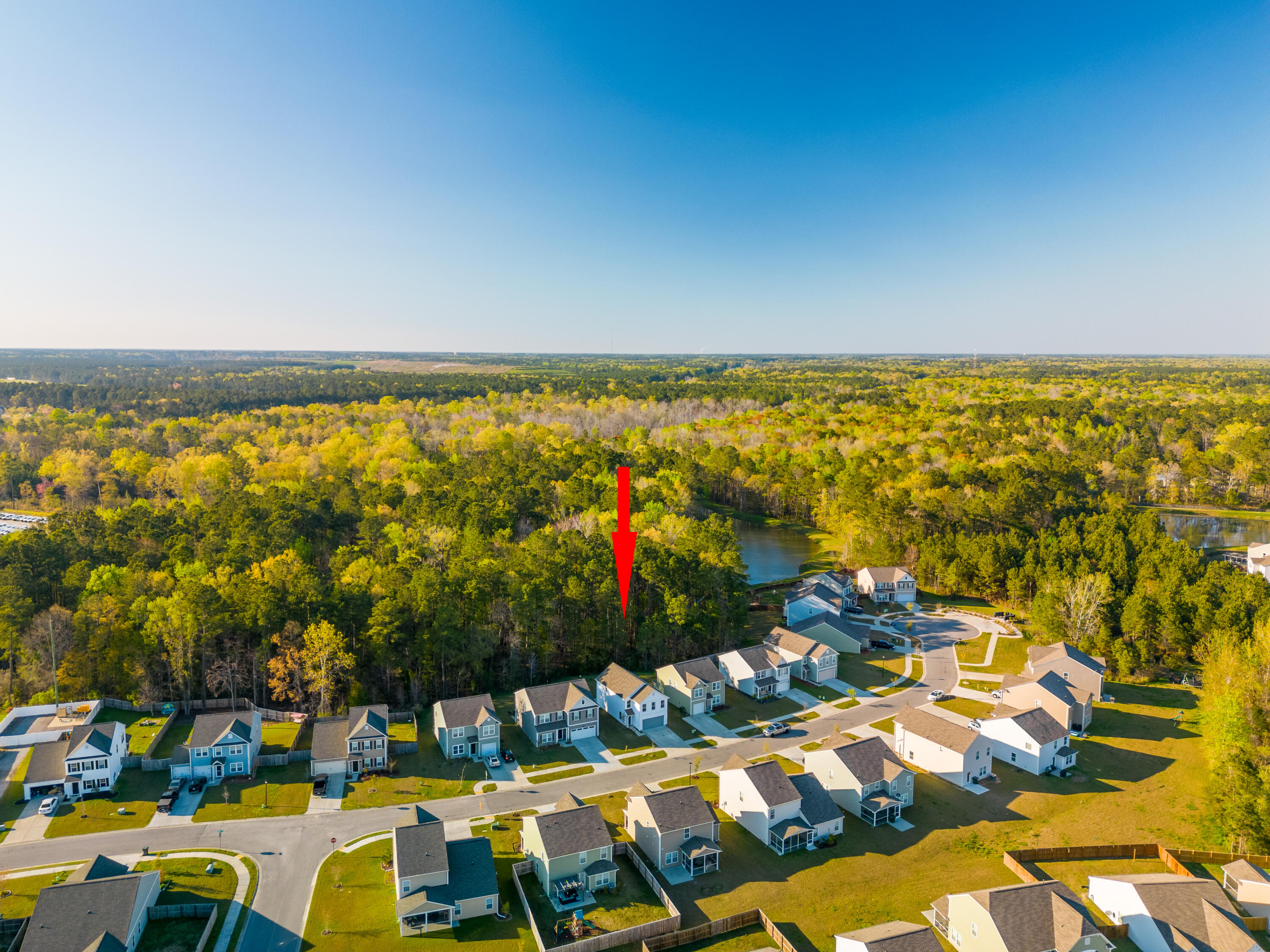 116 Rockingham Way Moncks Corner, SC 29461 - Photo 3 of 21 DJI_0749-Edit