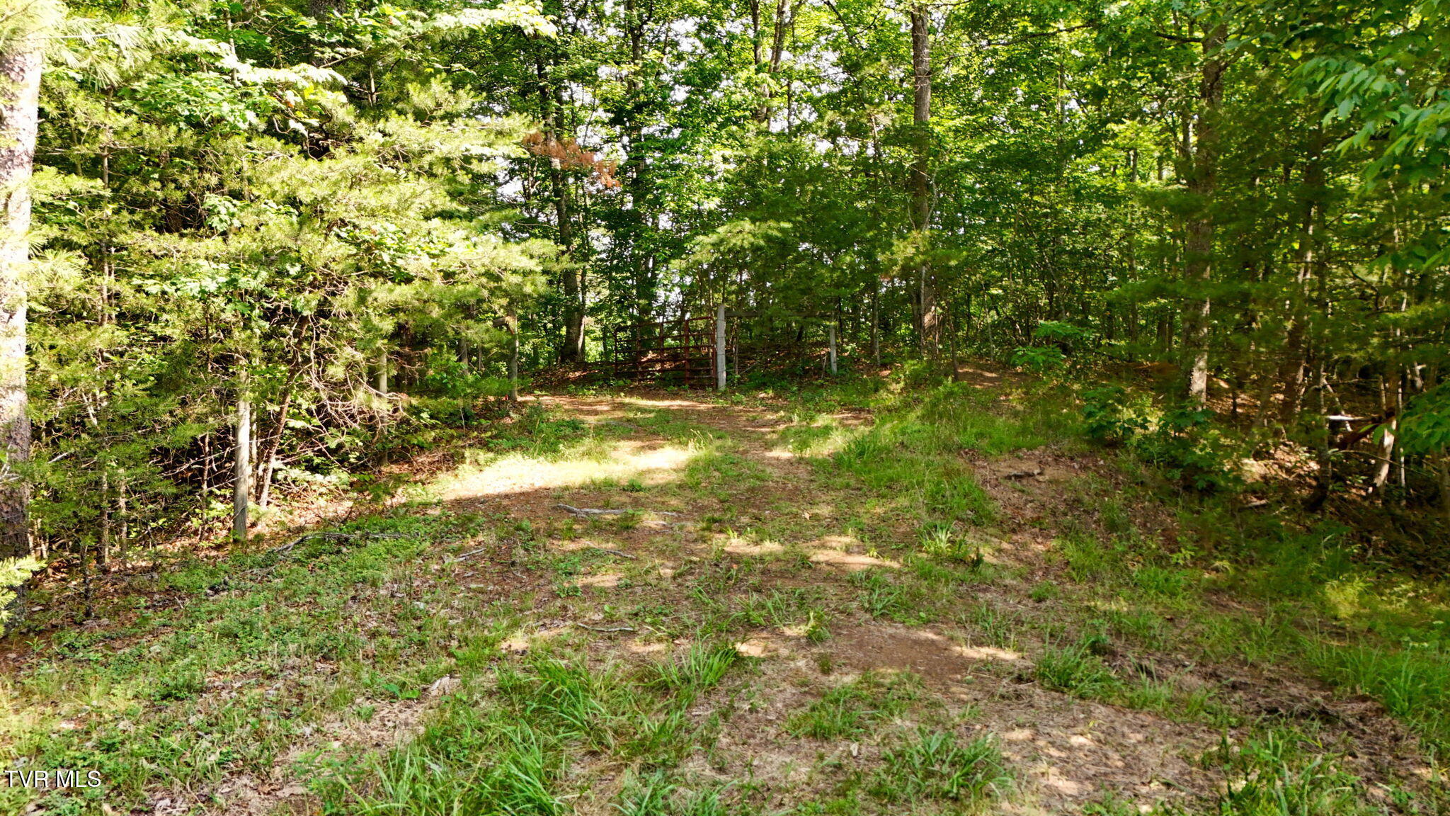 2523 Denton Valley Road, Unit 2 Bristol, TN 37620 - Photo 29 of 44 29