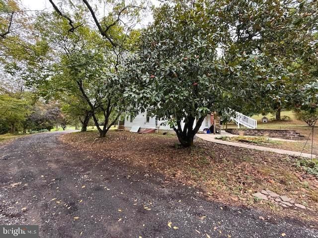 10891 Bethesda Church Road Damascus, MD 20872 - Photo 47 of 51 a view of a yard with a tree