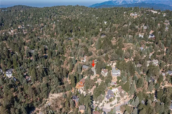 a view of a forest with a mountain