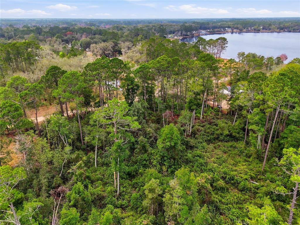 Sharon Street Interlachen, FL 32148 - Photo 17 of 17