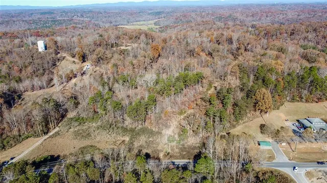 an aerial view of forest