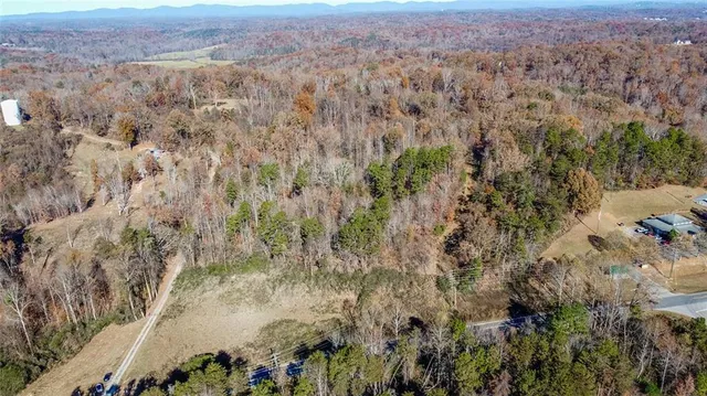 an aerial view of forest