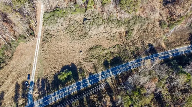 a view of a yard with plants and large trees