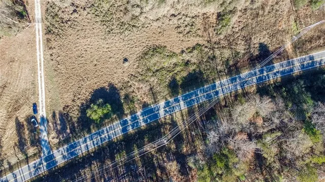 a view of a city with tall trees