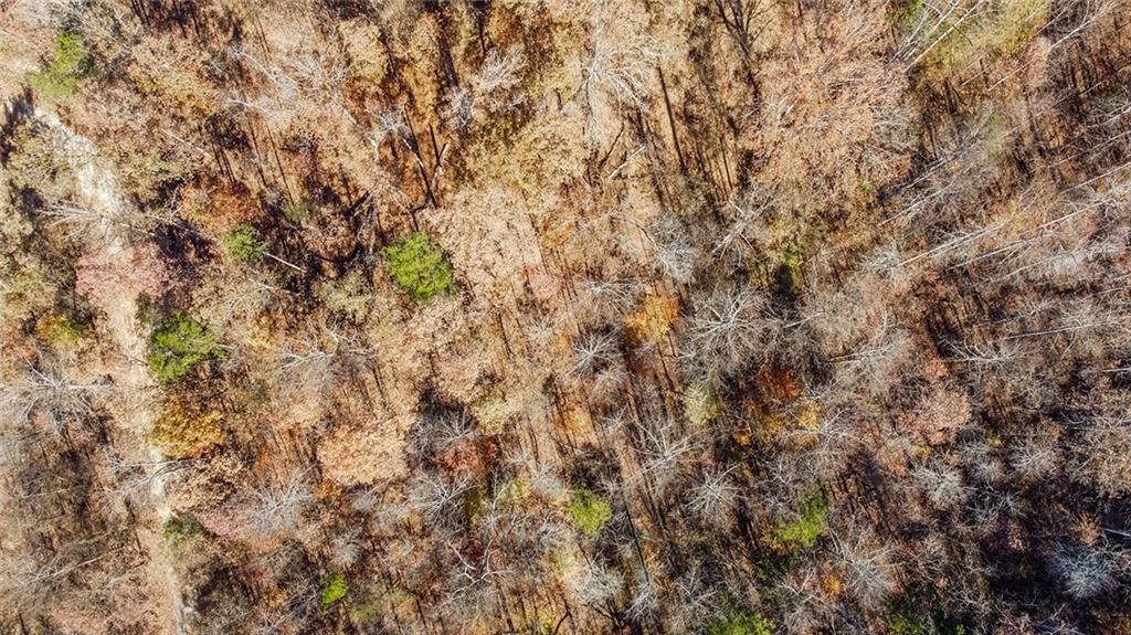 0 Auraria Road Dawsonville, GA 30534 - Photo 6 of 18