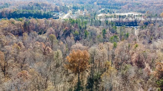 a view of a covered with large trees